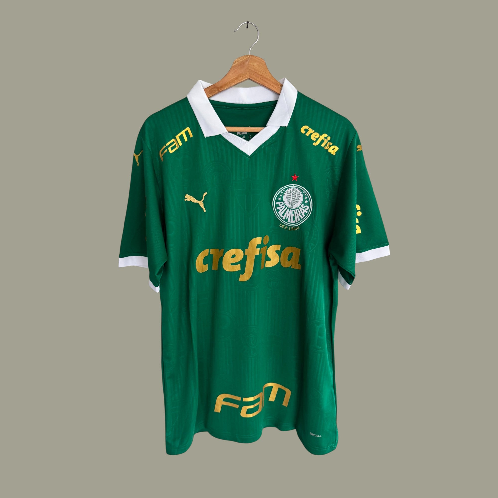 Palmeiras 2024 local