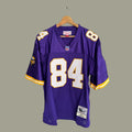 Minnesota Vikings