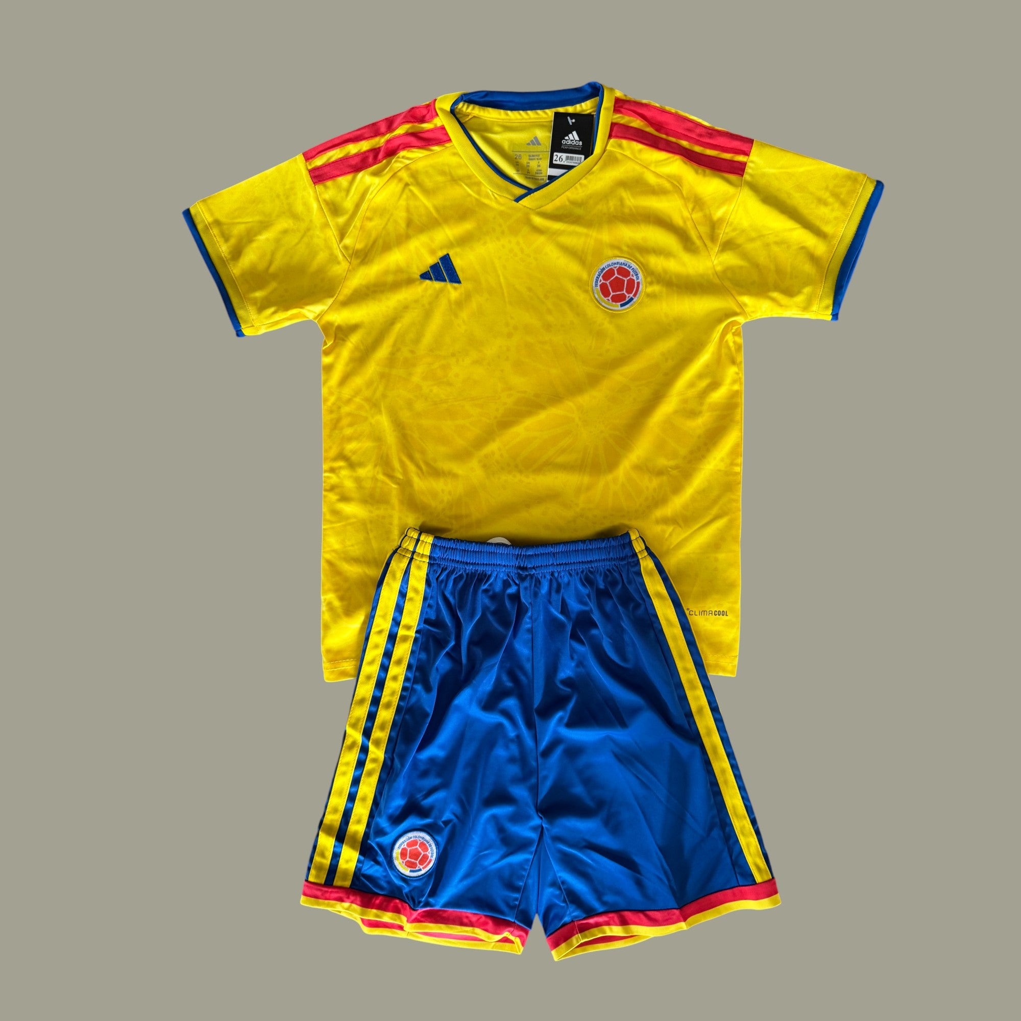 Colombia 2026 local niños
