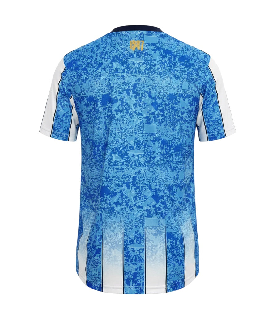 Archive Football Coventry City 2026/2027 home jersey back view in blue with white accents and 1987 neck detail