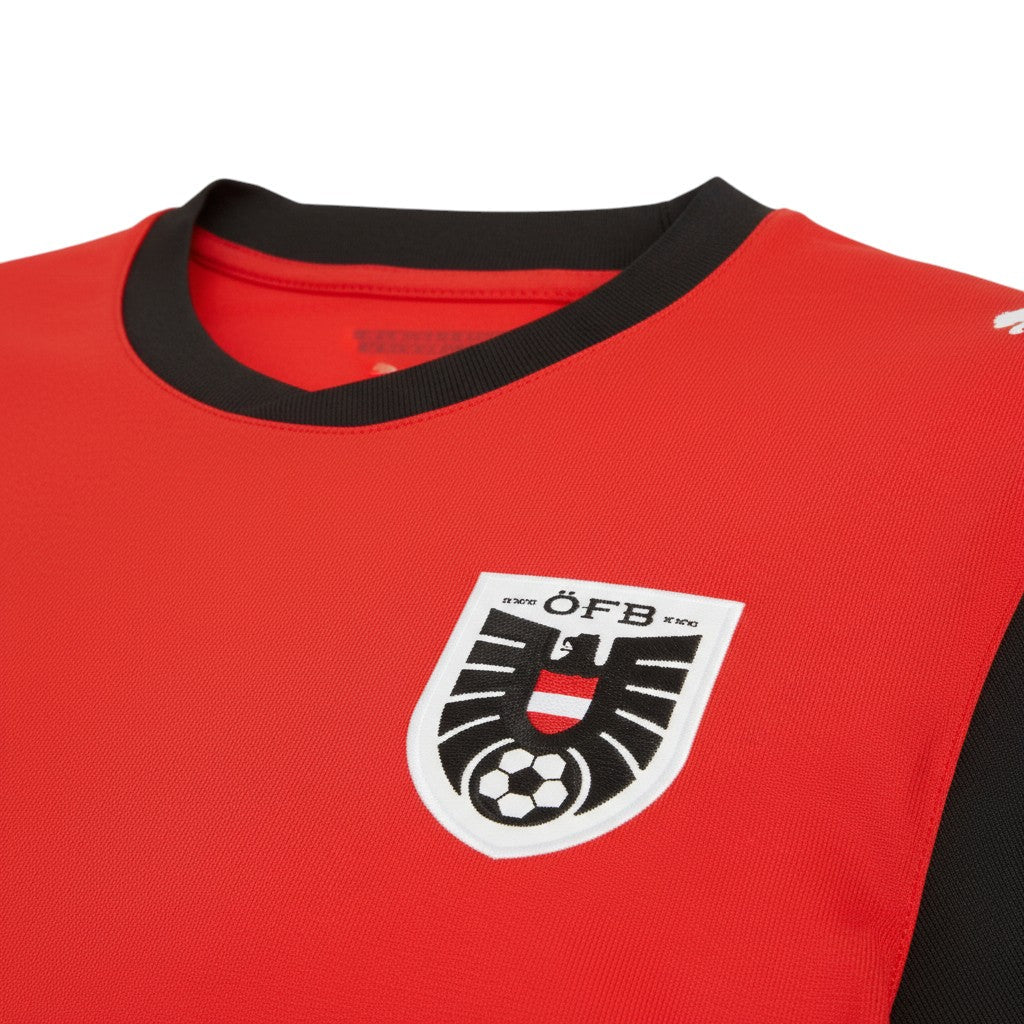 Austria Jersey Detail Close-up