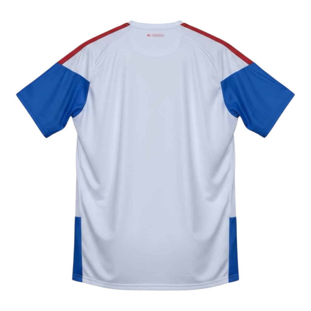 Hinchas Sportswear Store white Colombia training jersey with blue sleeves and red shoulder stripes, featuring Climacool technology.