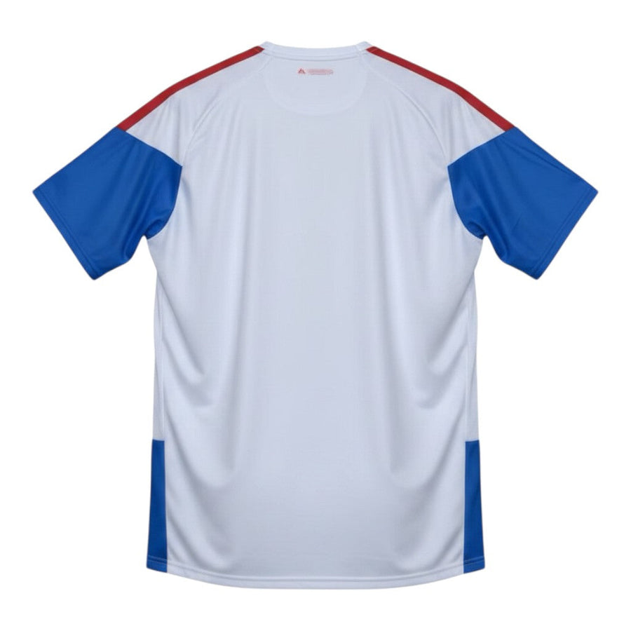 Hinchas Sportswear Store white Colombia training jersey with blue sleeves and red shoulder stripes, featuring Climacool technology.