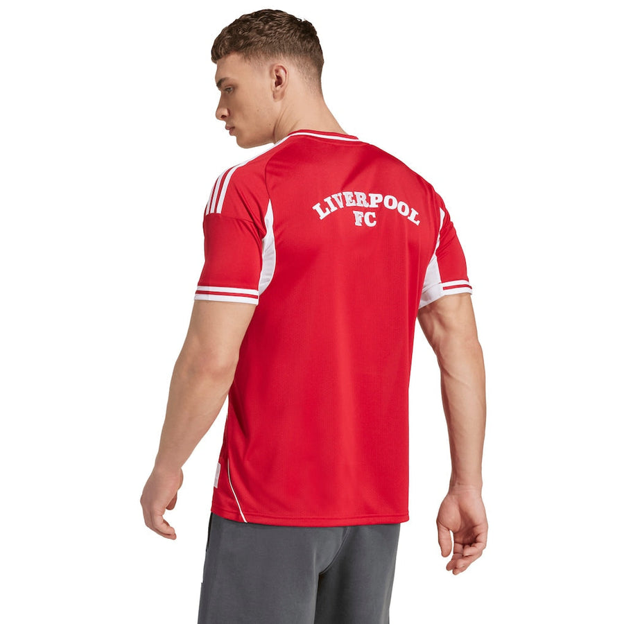 Liverpool Adidas Baseball Jersey – striped and red retro football jersey back view
