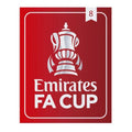 Patch FA Cup